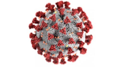 imagem de vírus ilustrado
