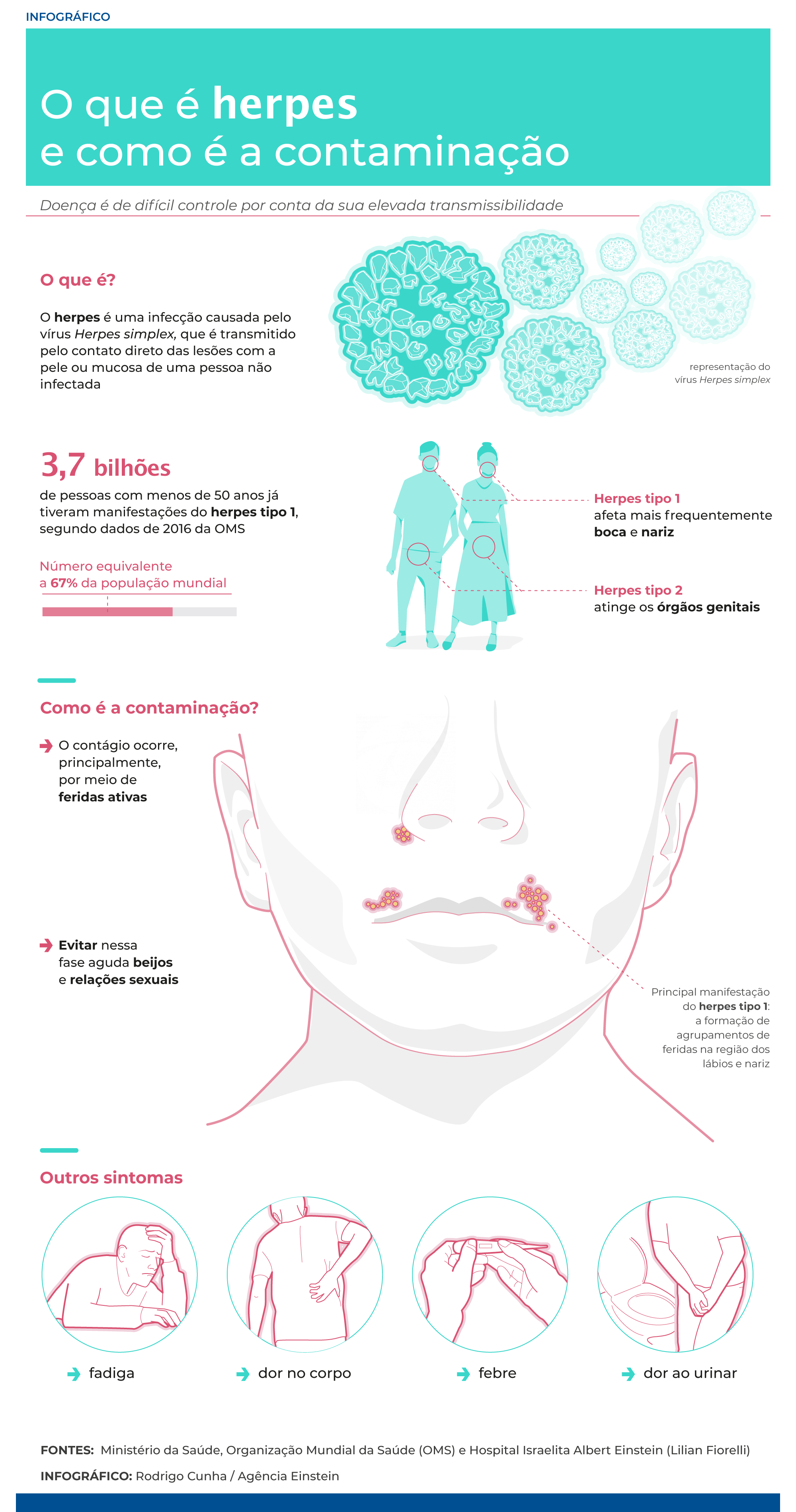 O que é herpes e como é a contaminação - Agência Einstein